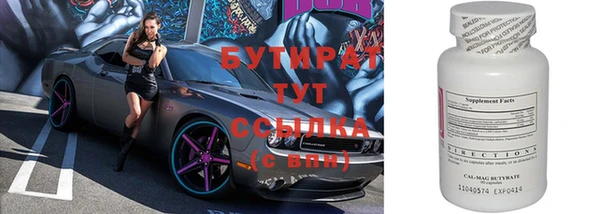 прущие грибы Каменногорск