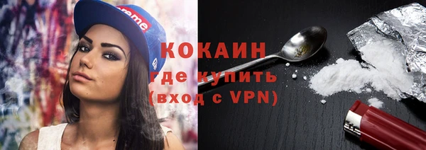 прущие грибы Каменногорск