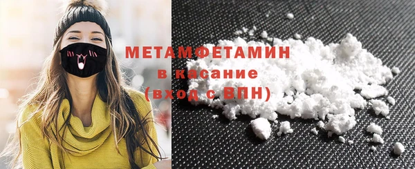 прущие грибы Каменногорск