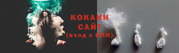 прущие грибы Каменногорск
