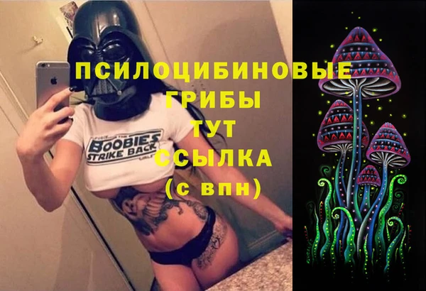 прущие грибы Каменногорск