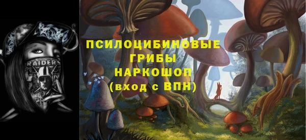 молекула духа Каменск-Шахтинский