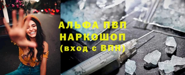 прущие грибы Каменногорск