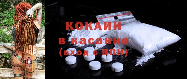 прущие грибы Каменногорск
