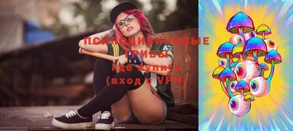 молекула духа Каменск-Шахтинский