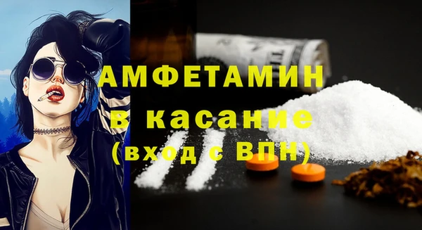 прущие грибы Каменногорск