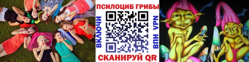 Купить где  Вяземский  Галлюциногенные грибы прущие грибы 